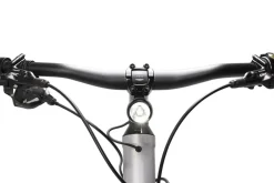 E-Bike VESTERBRO DMT Diamantrahmen 250 W