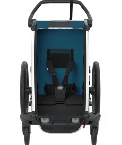 Fahrradanhänger / Kinderwagen 