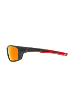 Fahrradbrille SPORTSTYLE 232 P