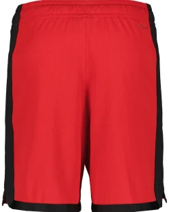Herren Basketballshorts JORDAN SPORT DRI-FIT