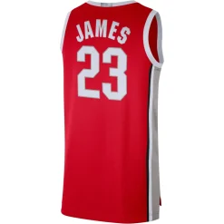Herren Basketballtrikot NBA-OHIO STATE BUCKEYES LEBRON JAMES