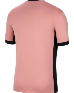 Herren Fußballtrikot PARIS SAINT-GERMAIN 2024/25 STADIUM THIRD