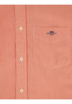 Herren Hemd aus Baumwoll-Popeline Regular Fit