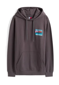 Herren Hoodie aus Baumwolle TJM REG DNA FLAG PLAY