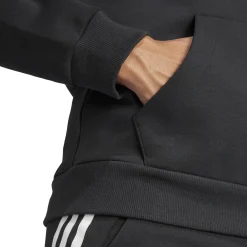 Herren Hoodie FUTURE ICONS 3S