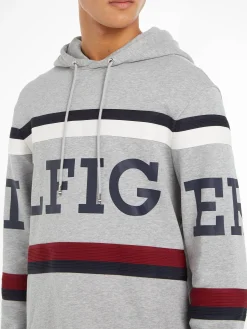 Herren Hoodie GLOBAL STRIPE MONOTYPE