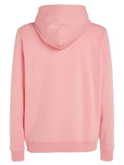 Herren Hoodie LINEAR LOGO