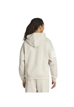 Herren Hoodie Regular Fit