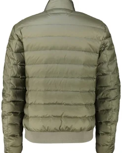 Herren Jacke mit Daunen CIRCUIT Regular Fit