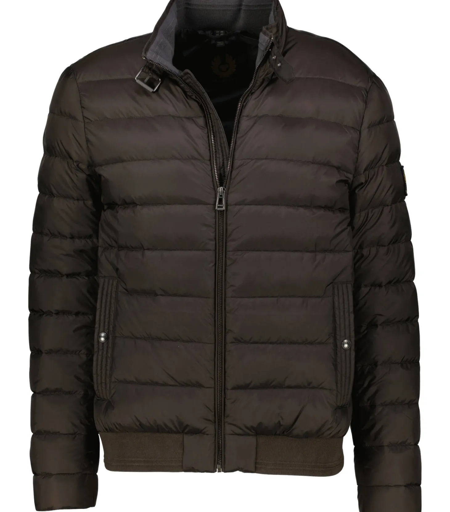 Herren Jacke mit Daunen CIRCUIT Regular Fit