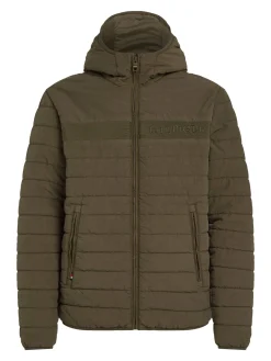 Herren Jacke PADDED REGATTA