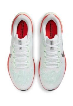 Herren Laufschuhe AIR PEGASUS 41