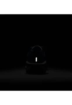 Herren Laufschuhe DOWNSHIFTER 13