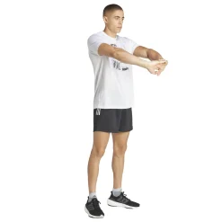 Herren Laufshorts OWN THE RUN SHORTS