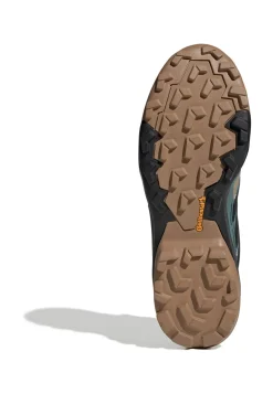 Herren Leichtwanderschuhe TERREX SKYCHASER GTX