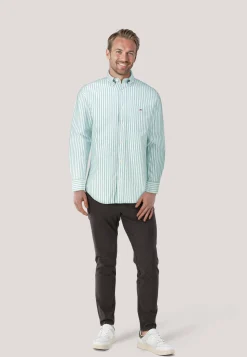 Herren Oxford-Hemd Regular Fit