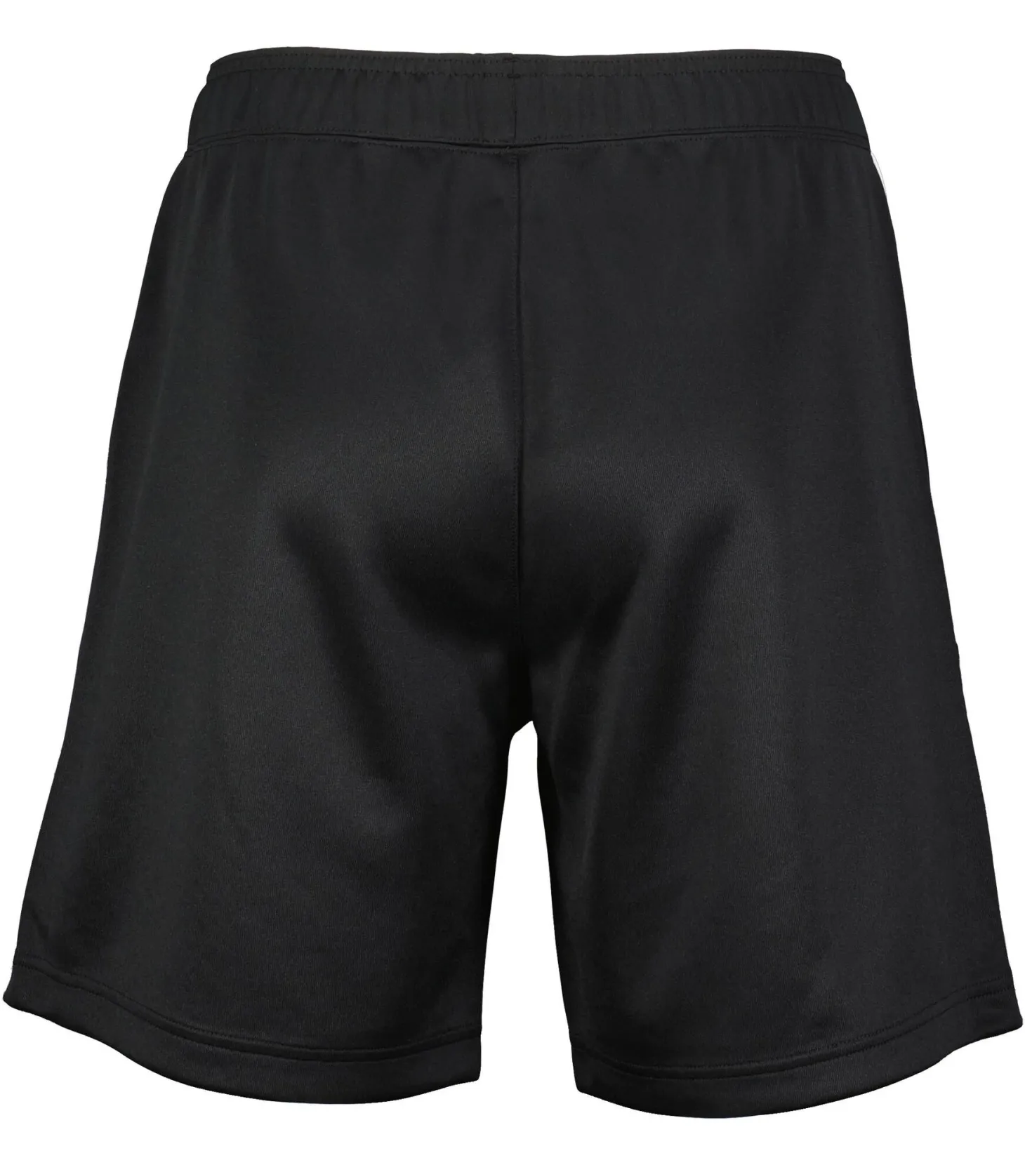 Herren Shorts Regular Fit
