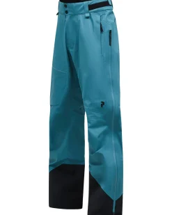 Herren Skihose ALPINE GORE-TEX 3L SHELL