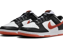 Herren Sneaker DUNK LOW RETRO