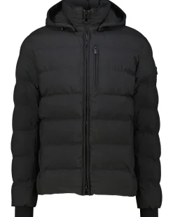 Herren Steppjacke BLACKBIRD SHORT