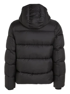 Herren Steppjacke mit Kapuze PUFFER Regular Fit
