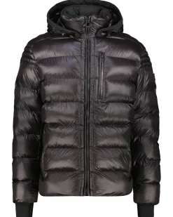 Herren Steppjacke mit SORONA®-Isolierung und Kapuze BLACKJACK