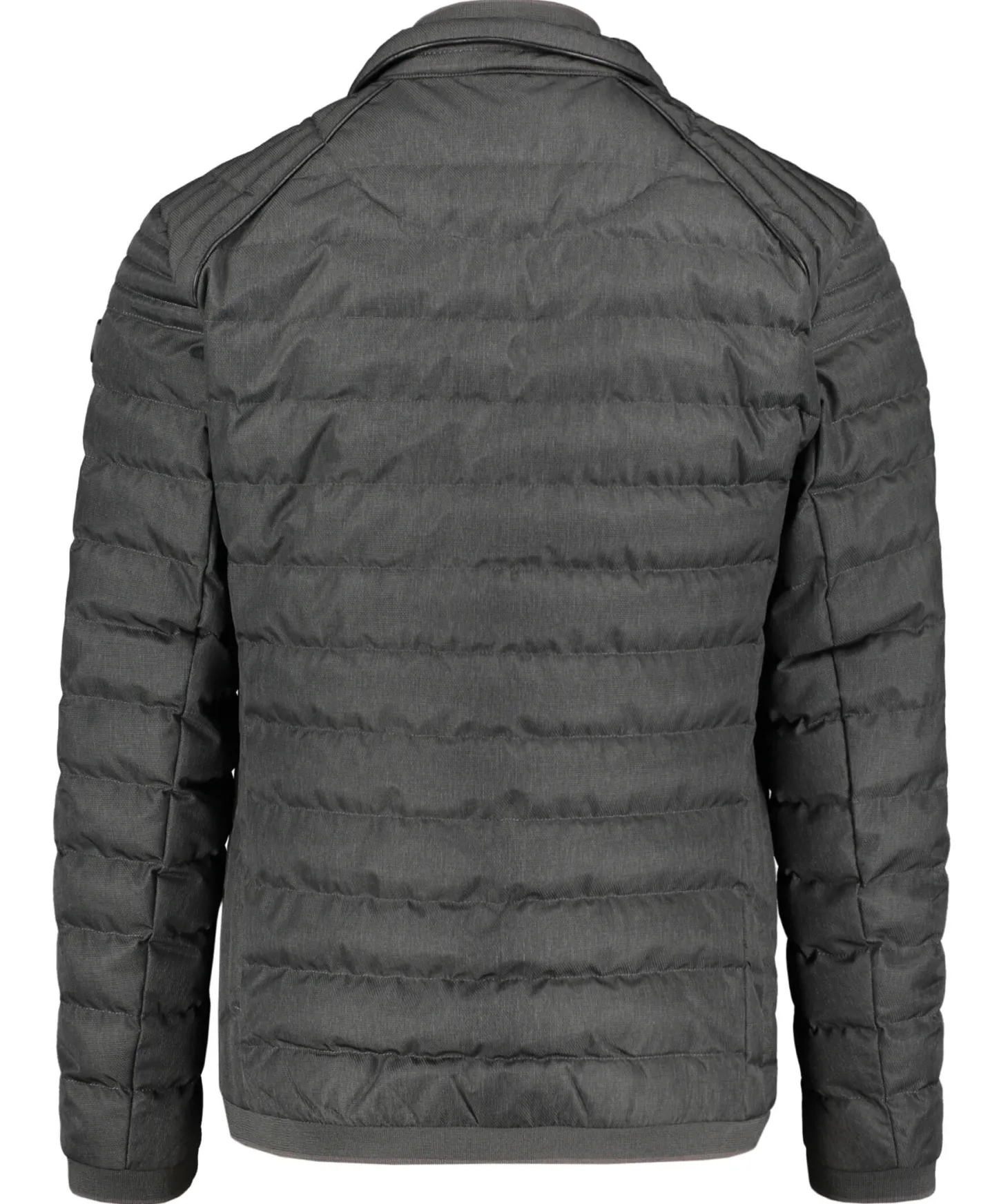 Herren Steppjacke MOL MEN MOLM-668-VUC