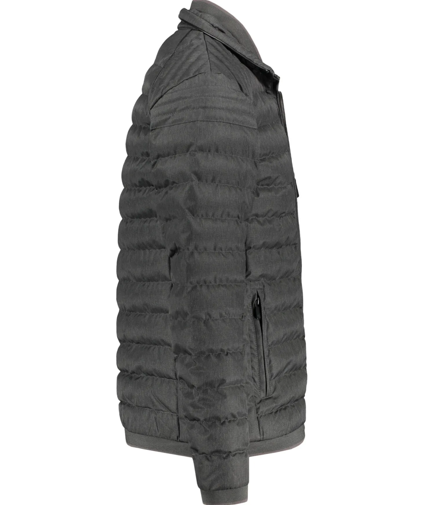 Herren Steppjacke MOL MEN MOLM-668-VUC