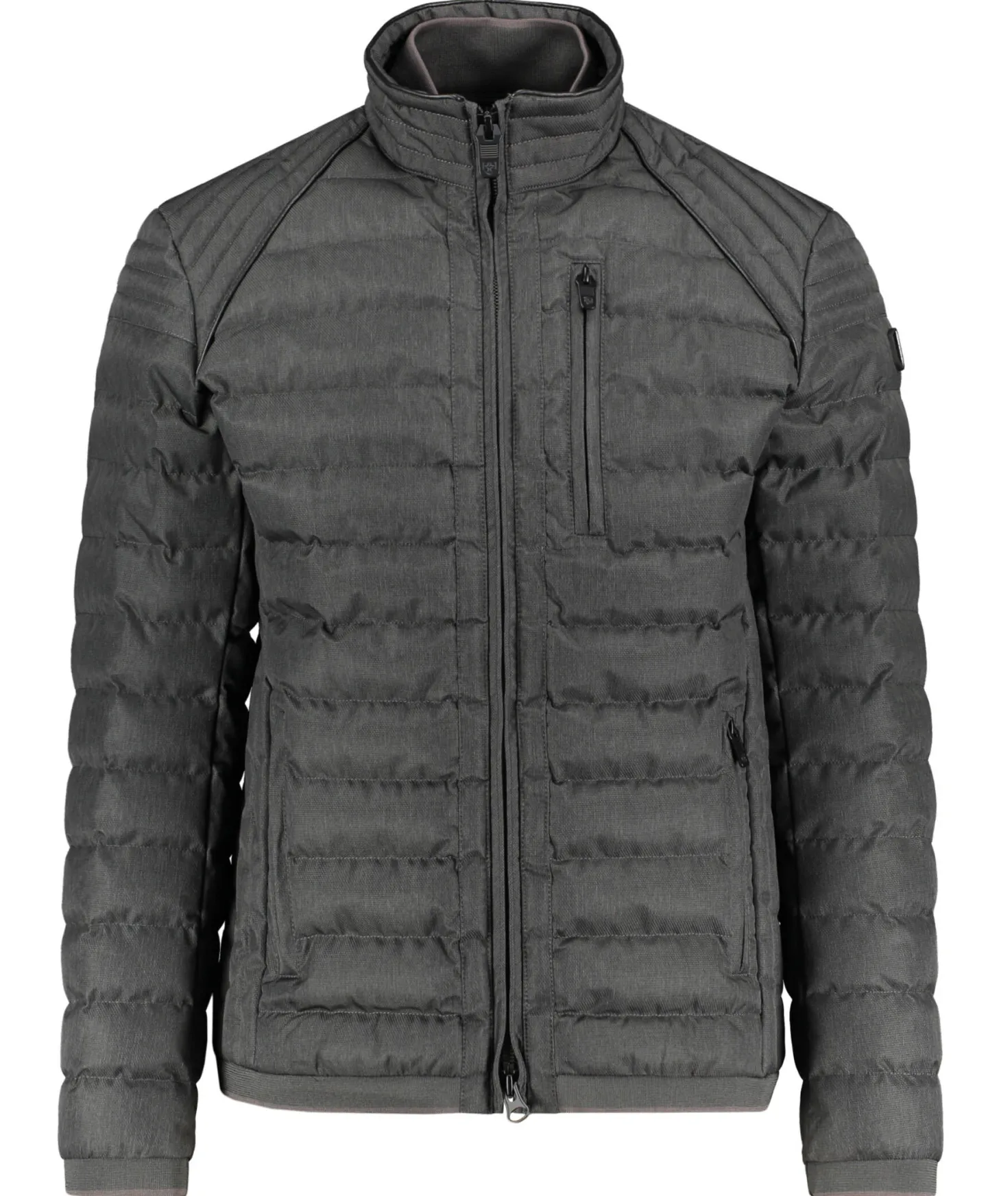 Herren Steppjacke MOL MEN MOLM-668-VUC