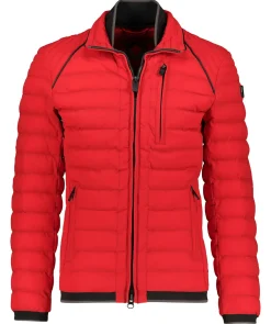 Herren Steppjacke MOL MEN