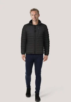 Herren Steppjacke MOLM 719 MOLECULE 604
