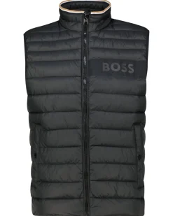 Herren Steppweste DAROLAN