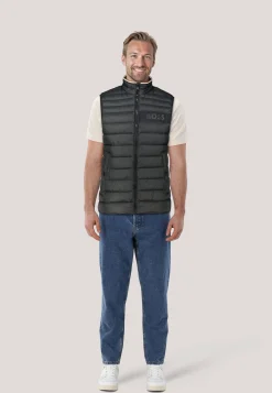 Herren Steppweste DAROLAN