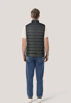 Herren Steppweste DAROLAN