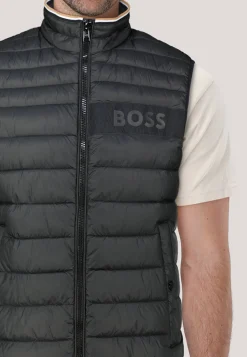 Herren Steppweste DAROLAN