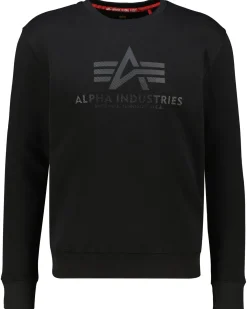 Herren Sweatshirt BASIC SWEATER CARBON