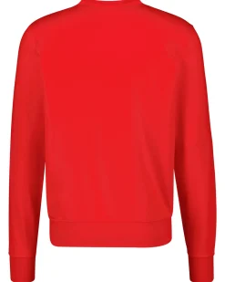 Herren Sweatshirt FLAG LOGO