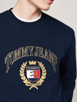 Herren Sweatshirt Regular Fit