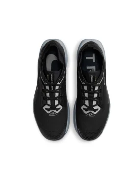 Herren Traillaufschuhe PEGASUS TRAIL 5 GTX