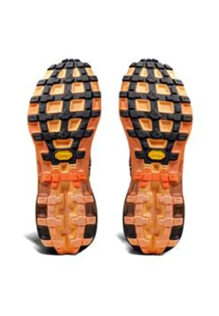 Herren Trailrunningschuhe TERRASKIN X01