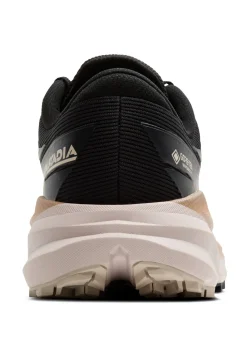 Herren Trailrunningschuhe CASCADIA 19 GTX