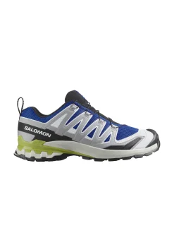 Herren Trailrunningschuhe XA PRO 3D V9