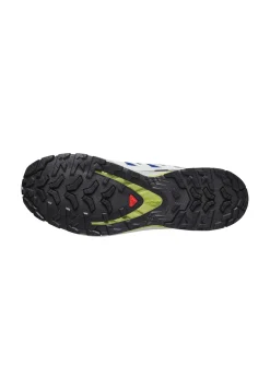 Herren Trailrunningschuhe XA PRO 3D V9