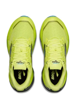 Herren Trailrunningschuhe CASCADIA 19