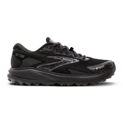 Herren Trailrunningschuhe DIVIDE 5 GTX