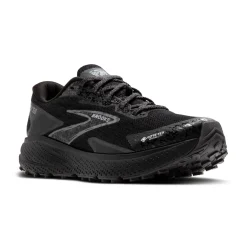 Herren Trailrunningschuhe DIVIDE 5 GTX
