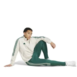 Herren Trainingshose TIRO FL