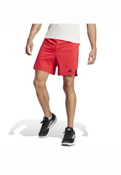 Herren Trainingsshorts DESIGNED FOR TRAINING Regular Fit