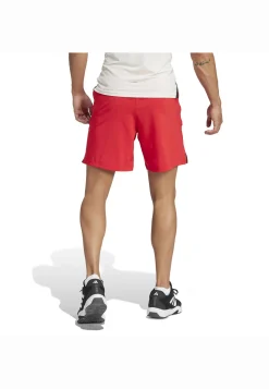 Herren Trainingsshorts DESIGNED FOR TRAINING Regular Fit