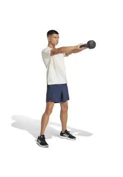 Herren Trainingsshorts D4T